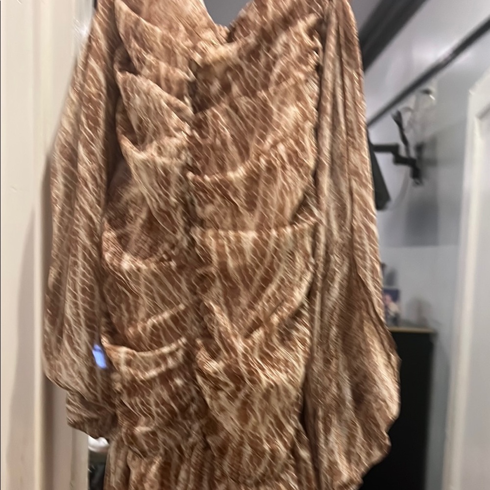 Brown Ruched Long Sleeve Dress